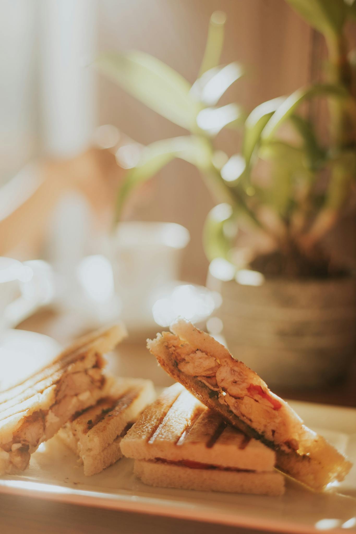 Delicious grilled chicken sandwich on a plate, perfect for lunch or snack time.